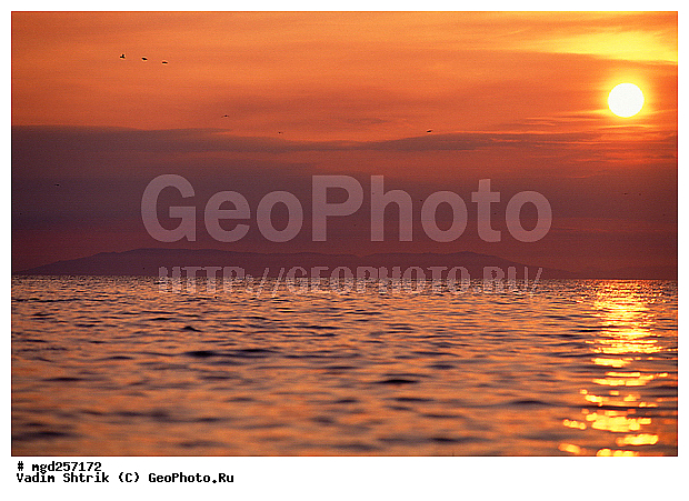 ����, ����, ����� ����, ����, ������, ������ ��� �����