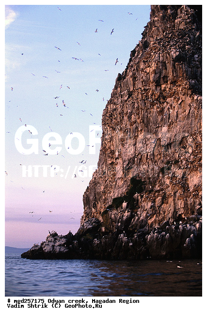 ����������� �������, ����, �������� ����, �����, ����� ����, ����, �����, ������ �����, �����, �����