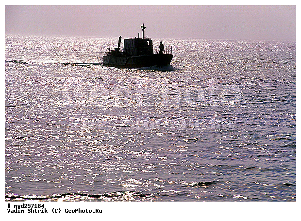 ����, ����, ����� ����, �������, ����, �������