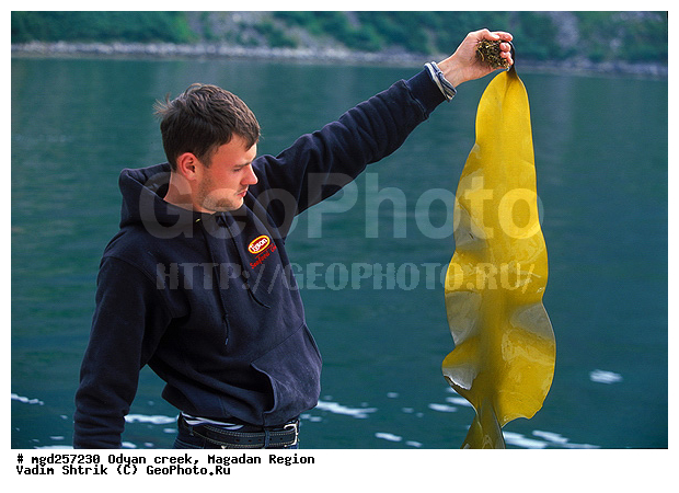 ����������� �������, ����, �������� ����, ���������, �����, ����� ����, ���������, ����, �������