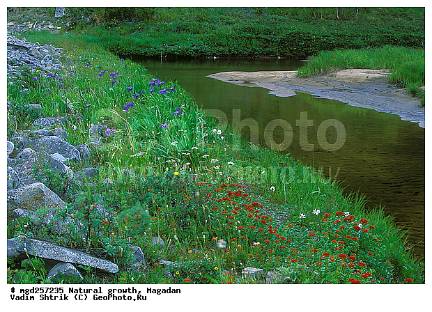 ���������� ��������������, ��������, �����