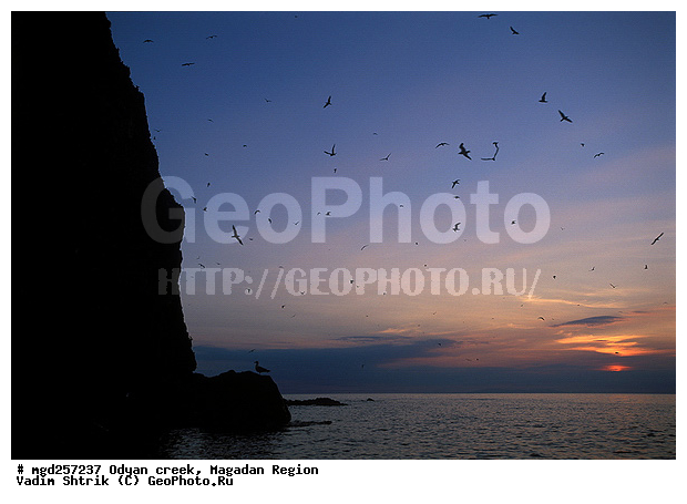 ����������� �������, ����, �������� ����, �����, ����� ����, ����, �����, �����, �����