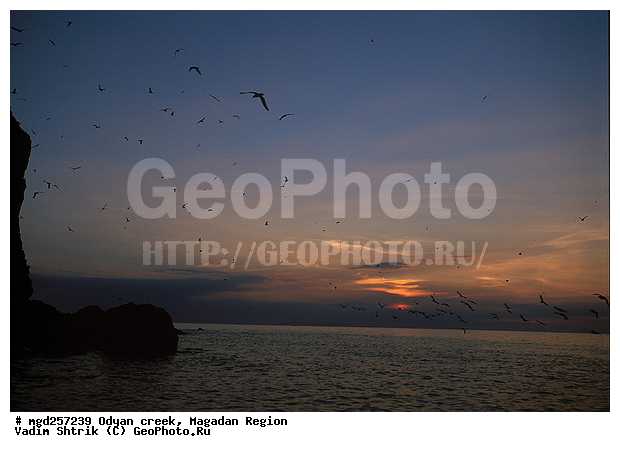 ����������� �������, ����, �������� ����, �����, ����� ����, ����, �����, �����