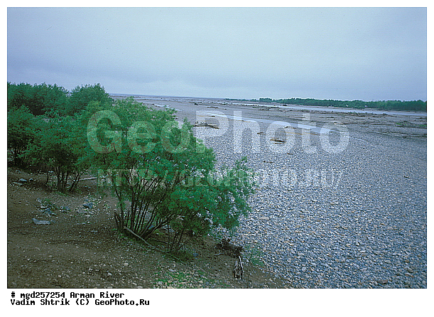 ������, ����������� ��������, ����, ���� ������