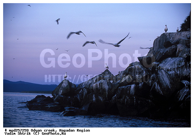 ����������� �������, ����, �������� ����, �����, ����� ����, ����, �����, ������ �����, �����, �����