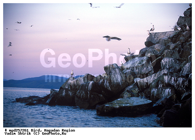 �����, ����, ������� �����, ��������, �����, ������ �����, �����