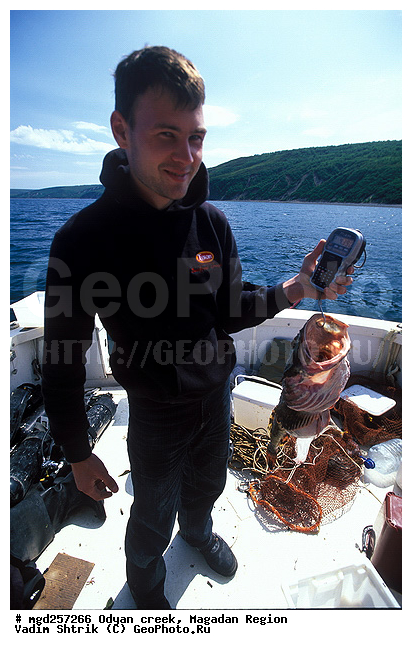 ����������� �������, ����, �������� ����, �����, ����� ����, ����, �����