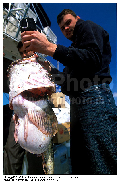 ����������� �������, ����, �������� ����, �����, ����� ����, ����, �����, ����, ����