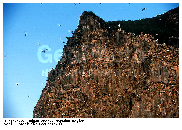 ����������� �������, ����, �������� ����, �����, ����� ����, ����, �����, �����, �����