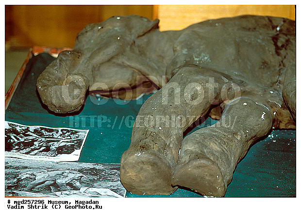 ����, �������, ������, ����������, ���������� ����, �����