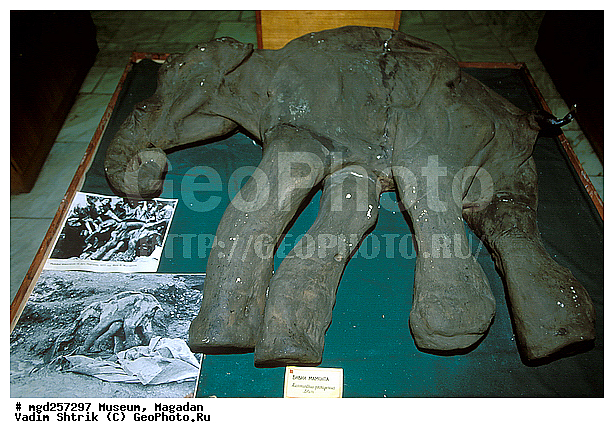 ����, �������, ������, ����������, ���������� ����, �����