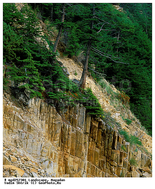 ���������� ������, ������, ������, �����