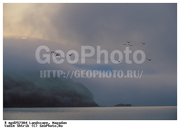 ���������� ������, �����, ����, ������, �����, �����