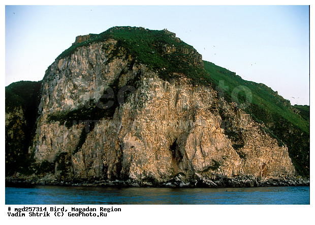 �����, ����, ������� �����, ��������, �����, ������ �����, �����