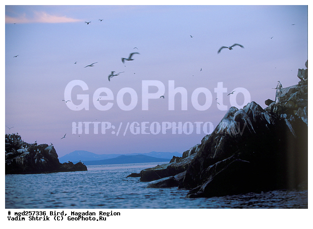 �����, ����, ������� �����, ��������, �����, ������ �����, �����