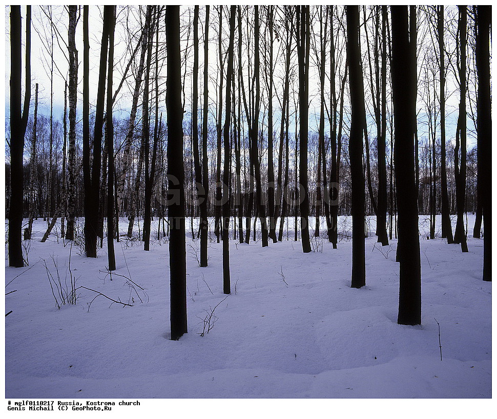 ������, ��������, ����, ����