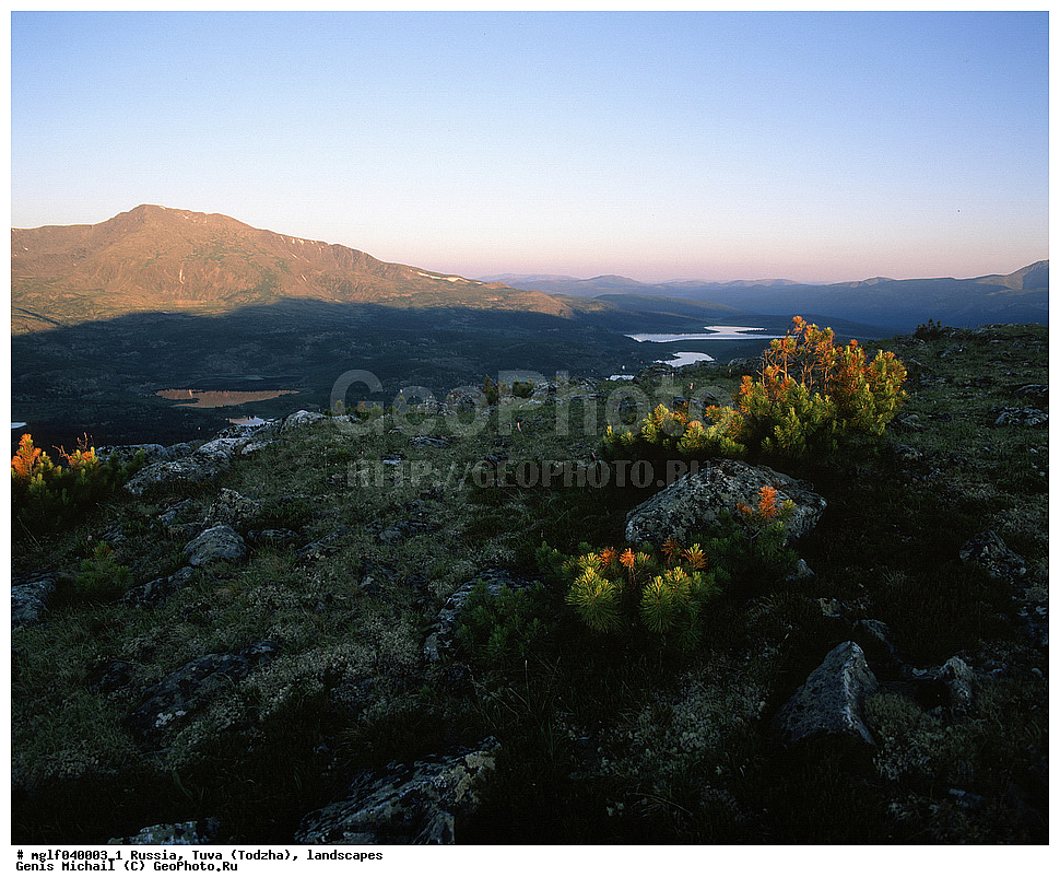 ������, ����, �����, ������, ����