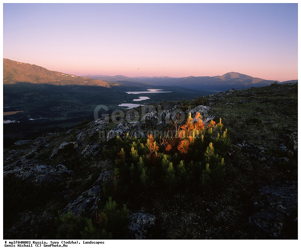 ������, ����, �����, ������, ����