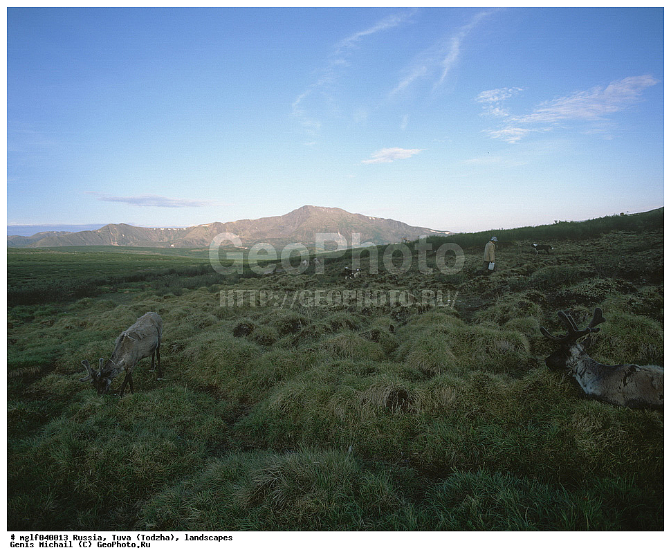 ������, ����, �����, ������, ����