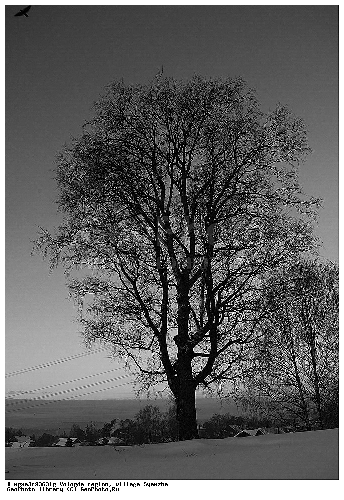 ����, ����, ����������� �������, �������, �����