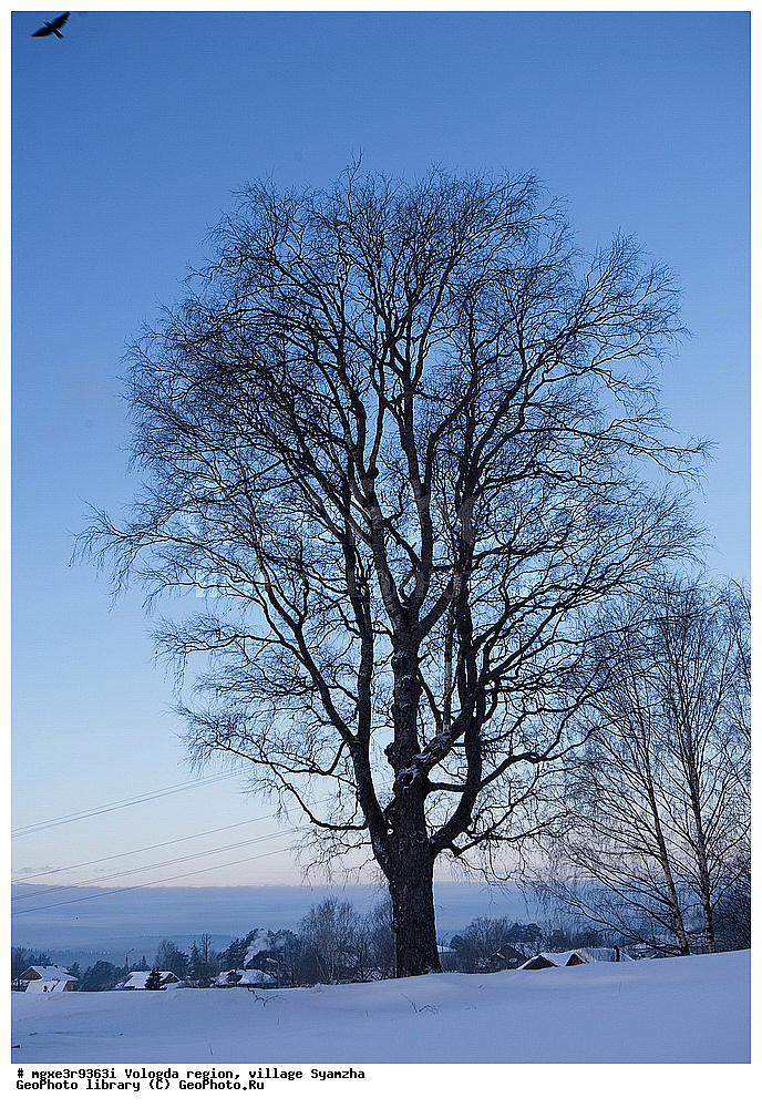 ����, ����, ����������� �������, �������, �����