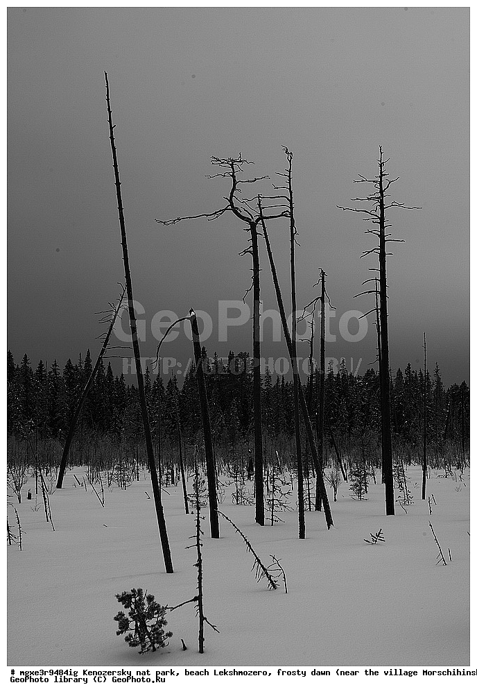 ����, ����, ����������� ������������ ����, ��������, �����, ���������� , �������� �������, �����������, �������, ������������