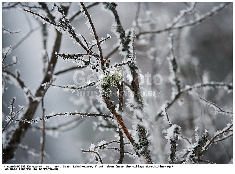 ����, ����, ����������� ������������ ����, ��������, �����, ���������� , �������� �������, �����������, �������, ������������