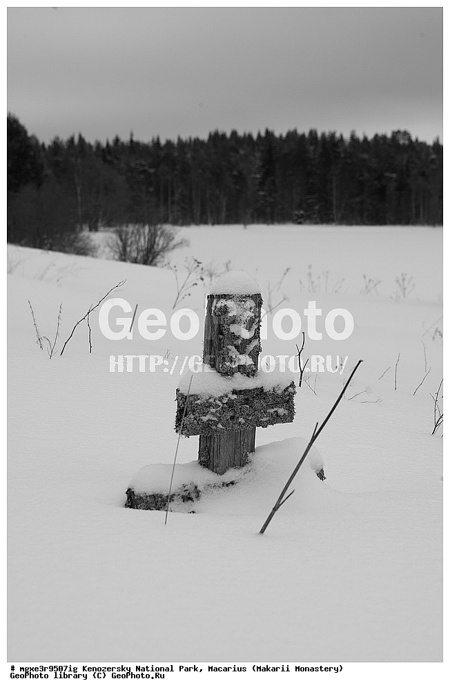 ����, ����, ����������� ������������ ����, ��������, �������, ������������ ���������, ���������