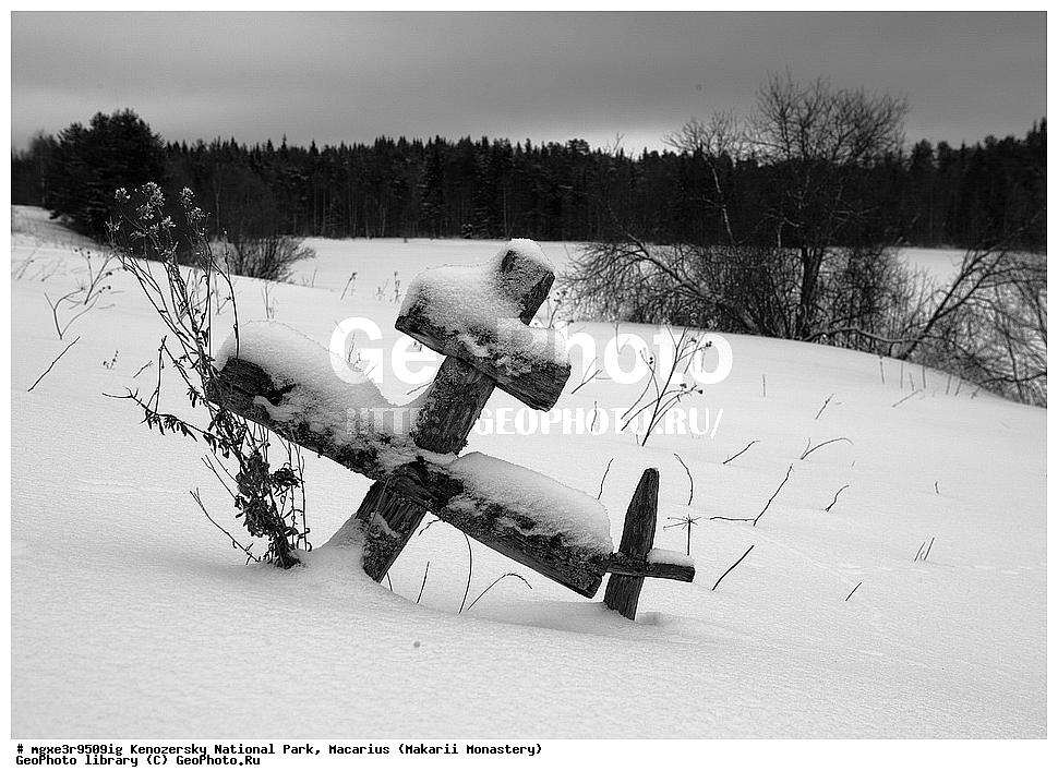 ����, ����, ����������� ������������ ����, ��������, �������, ������������ ���������, ���������