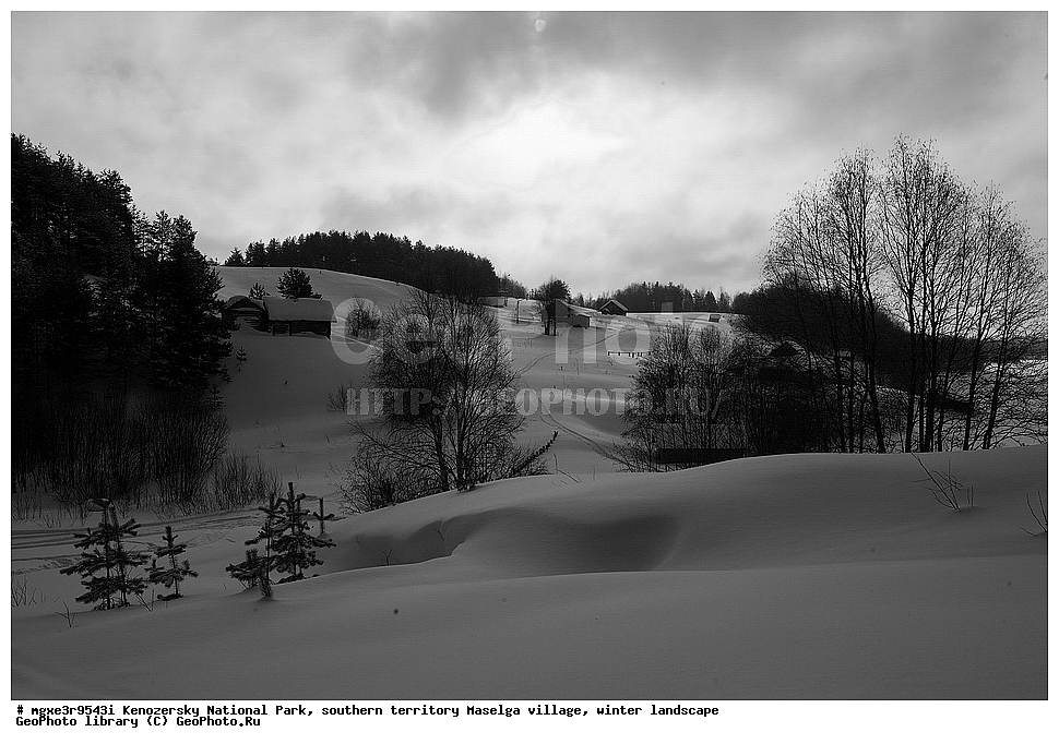 ����, ����, ����������� ������������ ����, ��������, ����� ����������, �������, ��������, ������