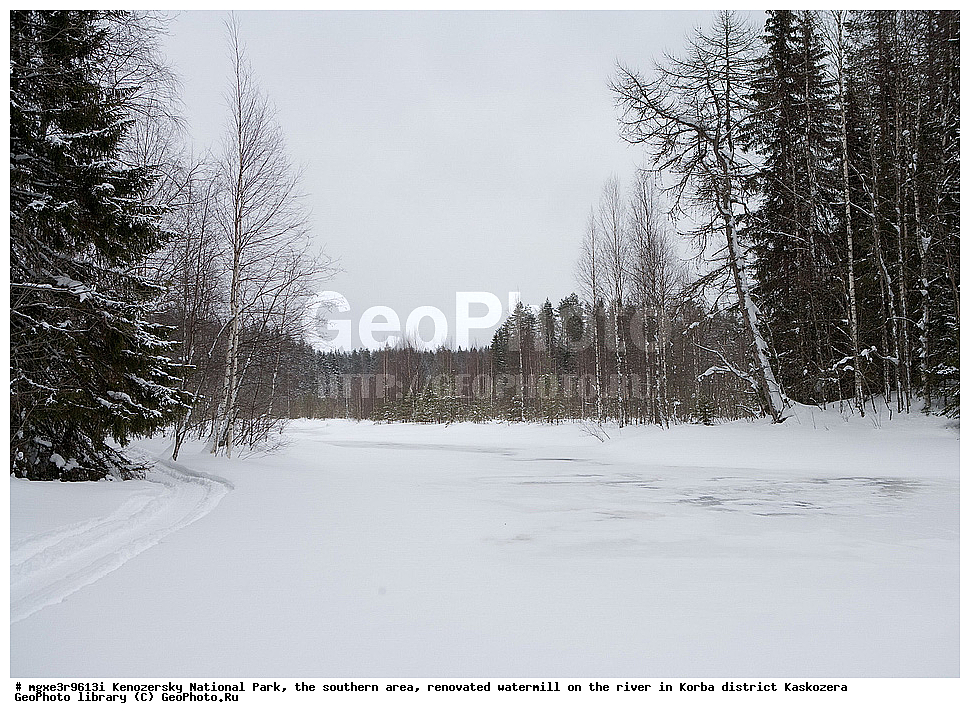 ����, ����, ����������� ������������ ����, ��������, ����� ����������, ������������������, �������  ��������, ��������, ����, �����, ���������