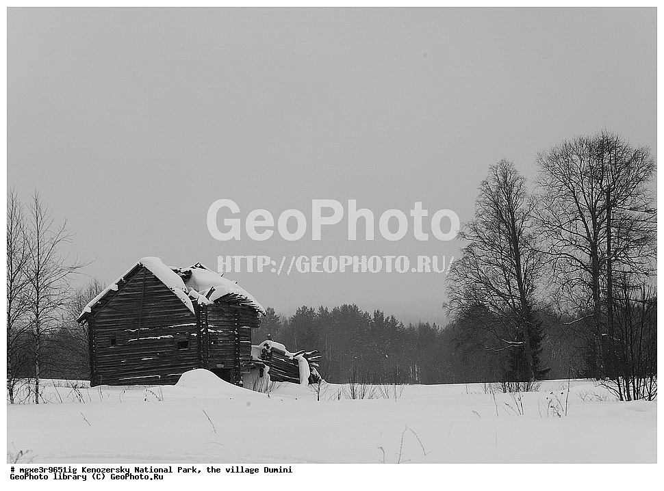 ����, ����, ����������� ������������ ����, ��������, �������, ������