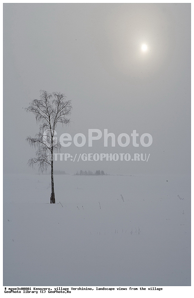 ����, ����, ��������, �������, ���������, ������, ��� �� ����