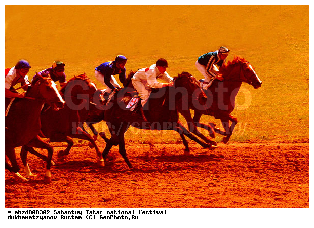 ������, ���������, �����, ������ ����������, ������, ������������ �������� ��������, ������, ��������, ��������, �������������, �������������, �����, �����, XYZ, ���������, Equidae, �������� ������, Equus ferus caballus