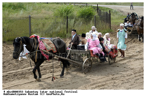 ��������, ������, ������, �������� � �������, ������, ��������, ��������, �������������, �������������, �����, �����, XYZ, ���������, Equidae, �������� ������, Equus ferus caballus