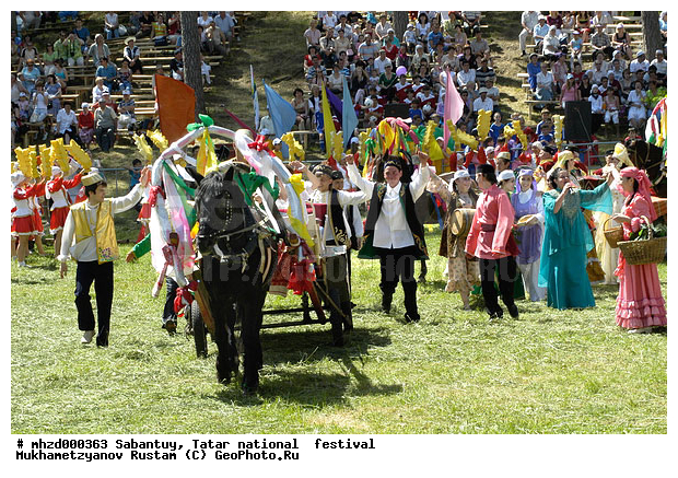 2008, ��������, ���������, ������, ������, �������� �������, ������������ ��������, ����������� �������, ��������, ��������, �������������, �������������, �����, �����, XYZ, ���������, Equidae, �������� ������, Equus ferus caballus