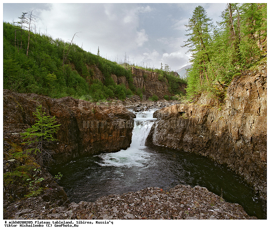 ������, �������, ����������� ������, �������, �������, ������, ����, �����, ������