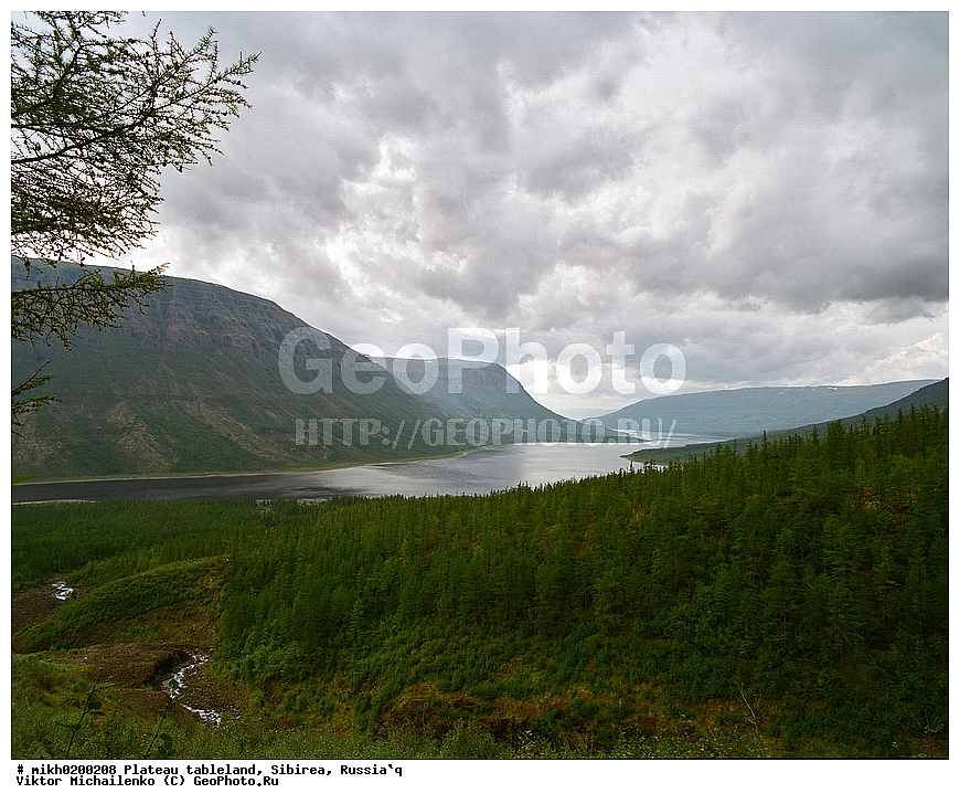 ������, �����, ��������, ����, �����, ����, �����