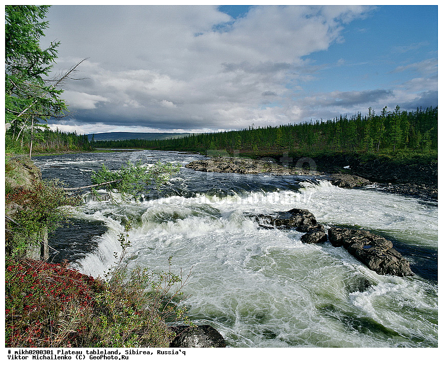 ��������, ����, ����������, ����, ������, �����, ����, ������, �����, �����, �����, ���������, ����, �����, �����