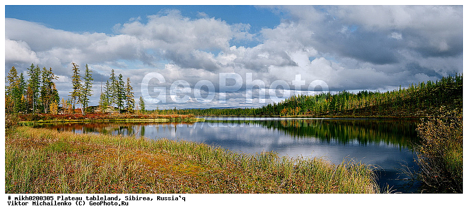 ��������, �����, �������, ����, �����, ����, �������, ������, ������, �����, �����, ���������, ��������, ����� ��������, ����, �����, �����