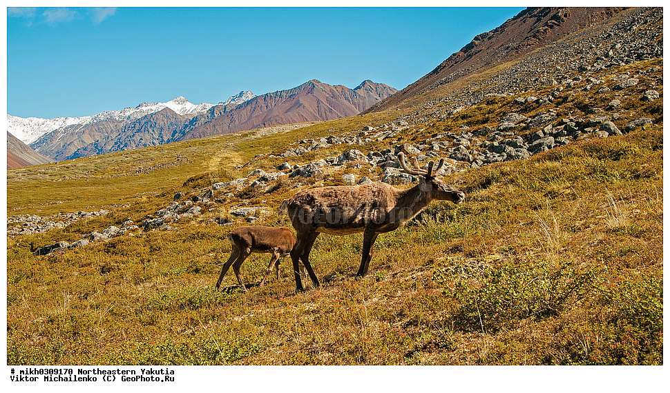 ������, ������, ����� �������, ����, ������ ������, �����, �������� 