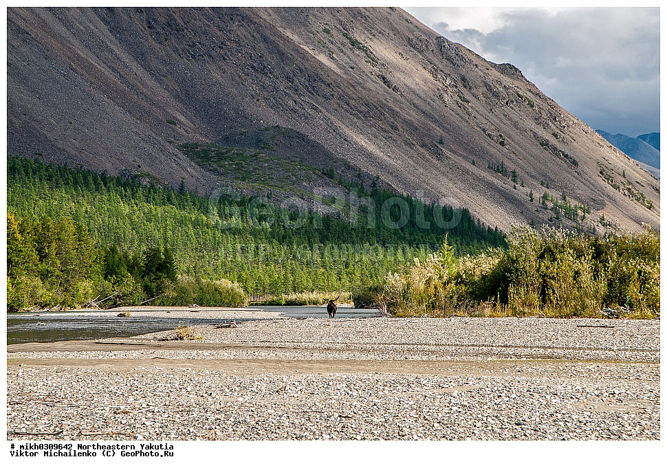 ������, ������, ������ ����, ����, ���, ������������, ��������, ���� 