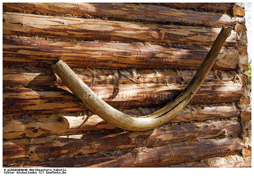 ������, ������, ������, ����, ����������� ����, ������ ������� 