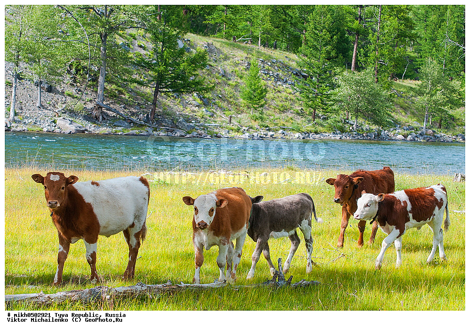 ���������� ����, ����, ��������� ����, ������, ����, �����, ������, ���, ����, �����, ������, ����, �������