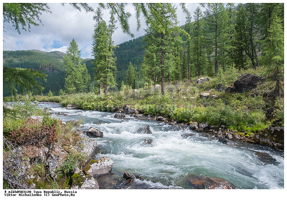 ���������� ����, ����, ��������� ����, ������, ��������, ����, �����, ������, ����, ������, ���-���, �����, ������ �������, �������� ����, �������� ����, ������, �����, ������, ��������� �����, ������, ����, ������