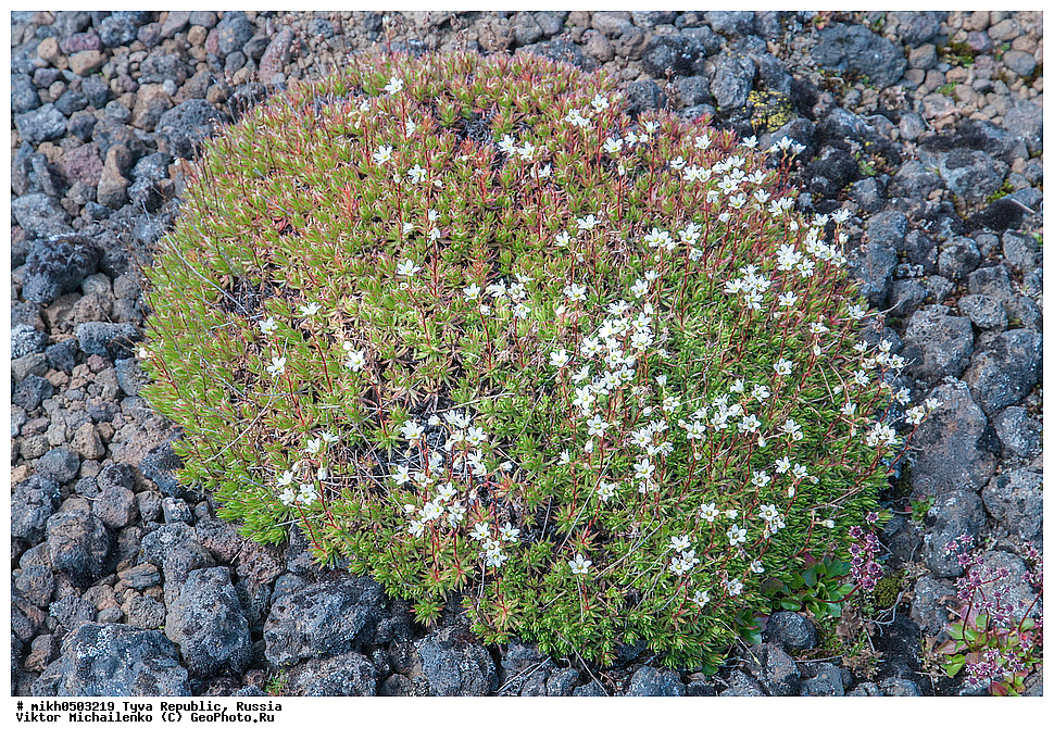 ���������� ����, ����, ��������� ����, ������, ������ ������, ���-����, ����� ����-�����, ���� ����������, ��������, ����� �����,  ������� �����, �����, ������������ ���������� ������,