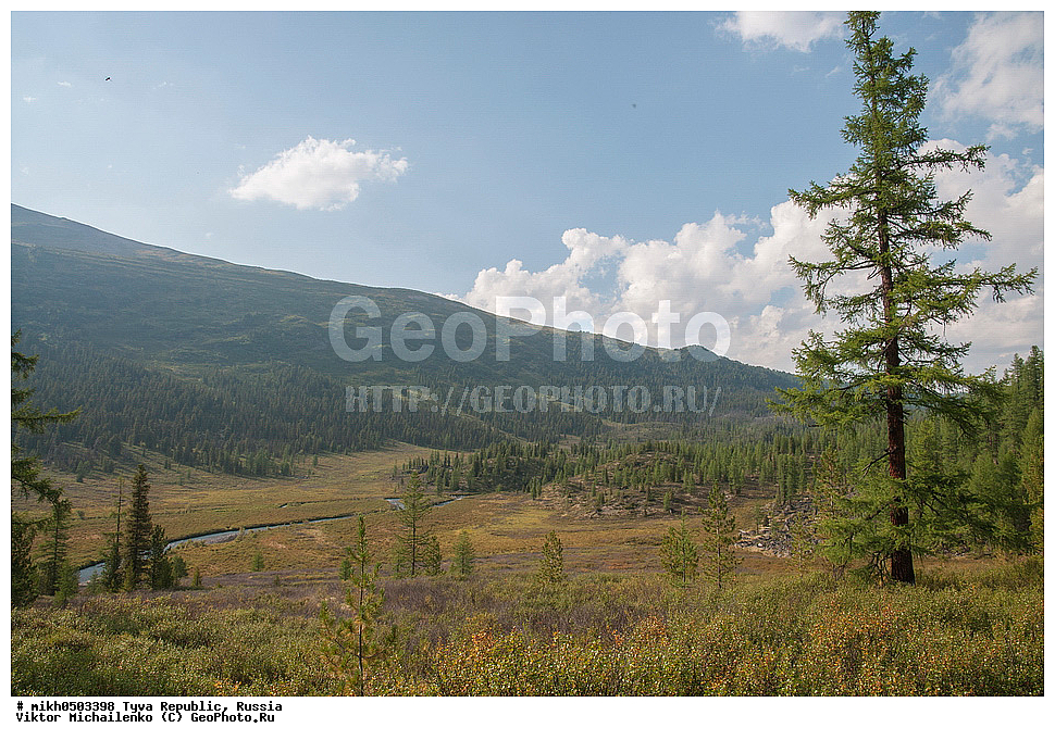 ���������� ����, ����, ��������� ����, ������, ������, ����, ��������, ������, ���-���, ����,  ������, �����, ������������ ���������, �������, ������� ����������, ����, ��������� ����, ������ 