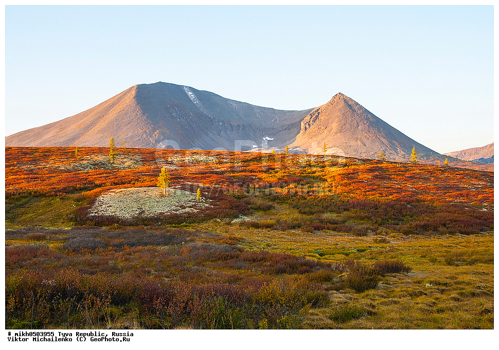 ���������� ����, ����, ��������� ����, ������, �������, �������, ����, �������� ������������, ��������� , �����, �����, �������� ���������