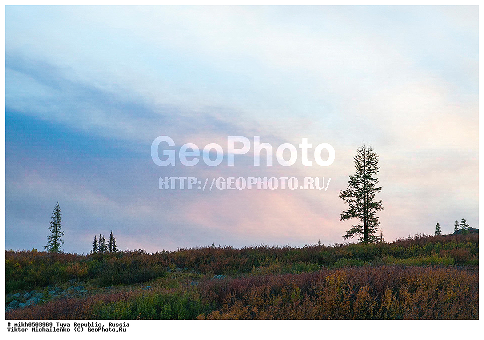 ���������� ����, ����, ��������� ����, ������, �������, �������, ������ ������, ������� �������� �������, ��������� ����, ������ ������, �����