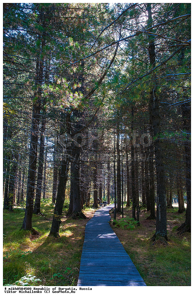 ���������� �������, ������, ����������� ���������� ����������, ����������, ������, �����, �����, ������������ �����